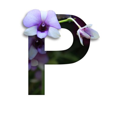 Çiçekli yazı tipi P desing süsleme için çiçek oluşturdu