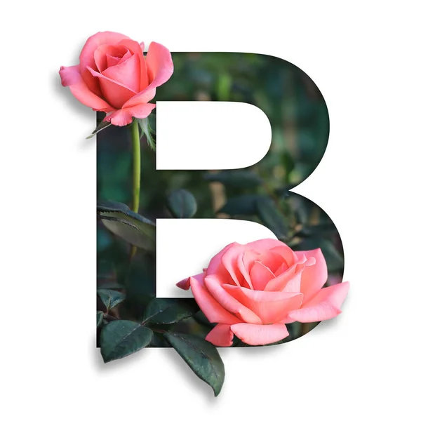 Γραμματοσειρά Λουλούδι Έκανε Λουλούδι Για Desing Διακόσμηση — Φωτογραφία Αρχείου