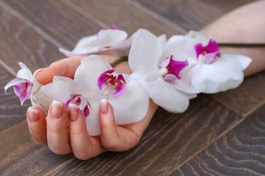 Fransız manikürlü güzel kadın elleri. Bakımlı, sağlıklı tırnaklar. Orkide çiçekleri güzel kadın ellerinde tahta bir arka planda.