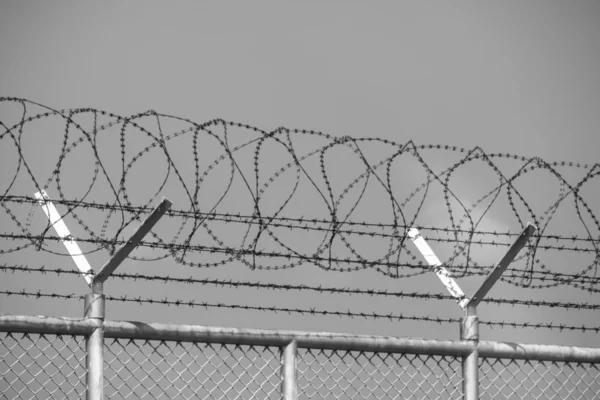 black & white barbed wire