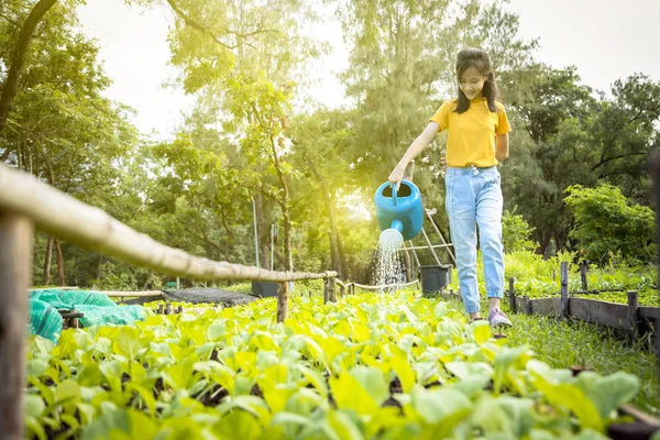 Happy asian child girl watering plants with watering can in organic garden,activities,help parents to grow vegetables,working and gardening in outdoor,female teen cares vegetables,agriculture concept — Stock Photo, Image