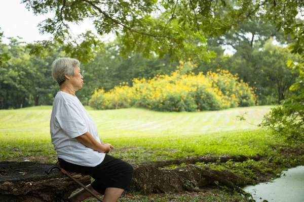 Азиатская старшая женщина очень спокойно в зеленой природе в парке, медитация может играть роль в лечении тревоги, депрессии и боли, пожилая женщина сидеть вертикально с правой рукой слева от нее, медитации, здоровой концепции жизни — стоковое фото