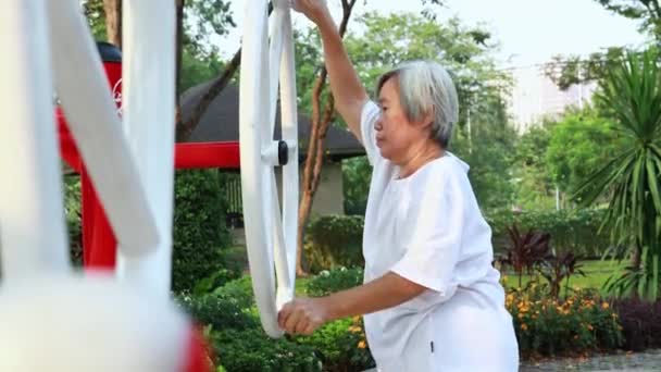 Healthy Asian Senior Woman Enjoying Exercising Exercise Machine Public Park — Stockvideo