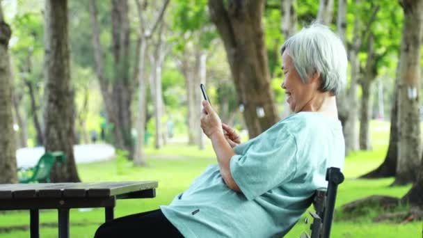 Gelukkig Aziatische Senior Vrouw Met Behulp Van Mobiele Telefoon Serieus — Stockvideo