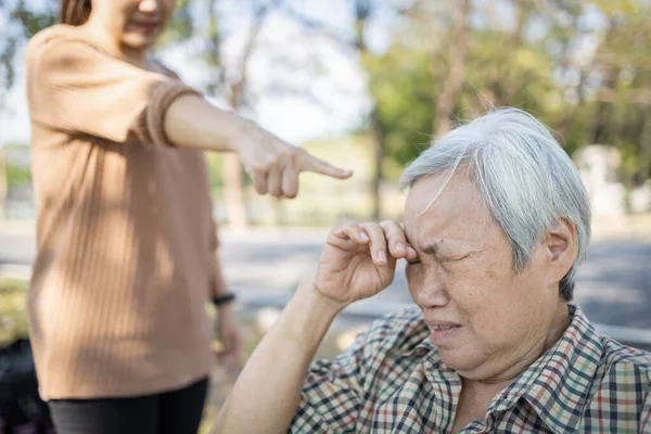 Asiatiska Äldre Människor Gråter Medan Unga Vårdnadshavare Skällande Arg Irriterad — Stockfoto