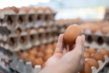 Asyalı kadın elinde bir tavuk yumurtası tutuyor, kız seçiyor, taze tavuk yumurtası alıyor, stokluyor, gıda zammını arttırıyor, Covid-19 salgını, Coronavirus 'un etkisi yumurtaları pahalı hale getiriyor.