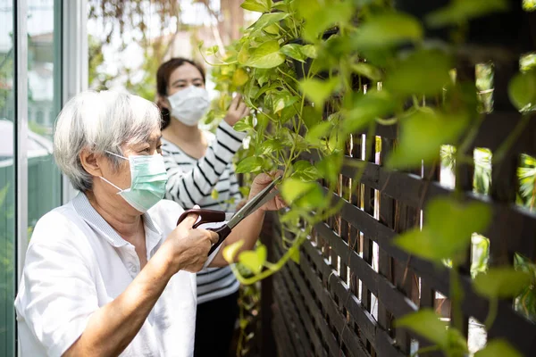 Asian Elderly Woman Pruning Branches Garden Home Senior Mother Daughter — Stock Photo, Image