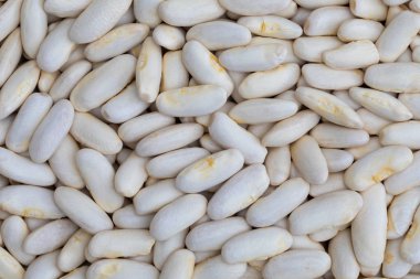 Doku (baklagil beyaz fasulye (fabes) ham)