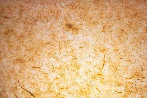 Tekstura papieru (przezroczysta) wykonana ręcznie z widocznych włókien organicznych. W delikatnych odcieniach pomarańczy i wanilii. — Zdjęcie stockowe