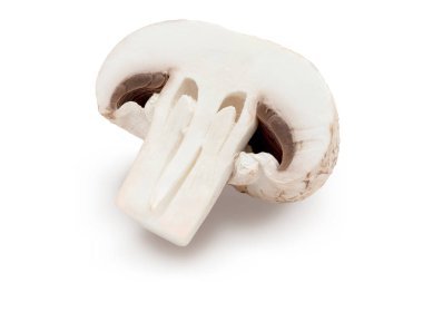 Yarım mantar (Champignon, cut foot, Bisporus agaricus) ve çiğ. Beyaz arkaplanda izole