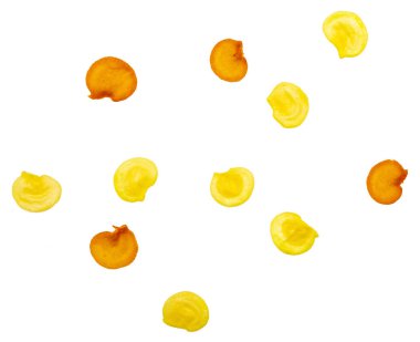 Taze yeşil biber tohumu (biber). Beyaz arka planda yalıtılmış.