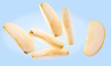 Sarı elma dilimlenmiş, Chantecler, chanteclerc, Malus domestica). Altın Lezzet ve Clochard Pippin 'in çeşitli karışımları. Ön manzara. Pastel mavi arkaplan.