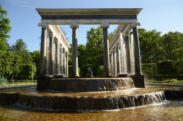 Parktaki güzel bahçe.