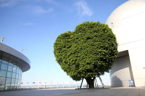 Heart Shape Tree, Macao Science Center, Macau, China