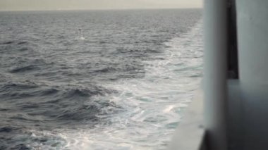 Deniz zemininde uçan martı. Yavaş çekim izleme videosu. Gün batımı