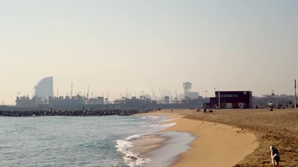 Solig dag barcelona stad vik strand med utsikt över hamnen. Långsamma rörelser — Stockvideo