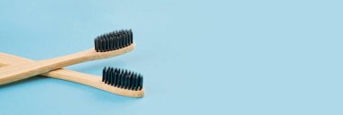 Mavi arka planda iki bambu diş fırçası. Çevre dostu yaşam tarzı