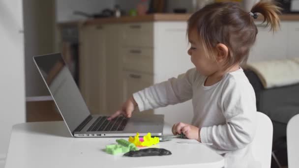 Criança pequena usando laptop para ensino em casa. A escola remota de quarentena do Coronavirus. Aulas pré-escolares — Vídeo de Stock