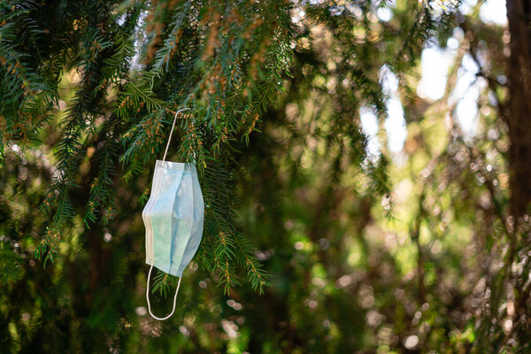 Medical mask on the tree outdoors. Pollution from covid-19 quarantine