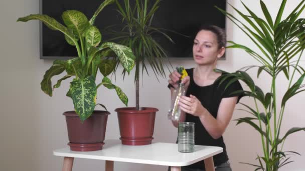 YOung femme millénaire prenant soin des plantes à la maison. Fleuriste indépendant. Occupation écologique — Video