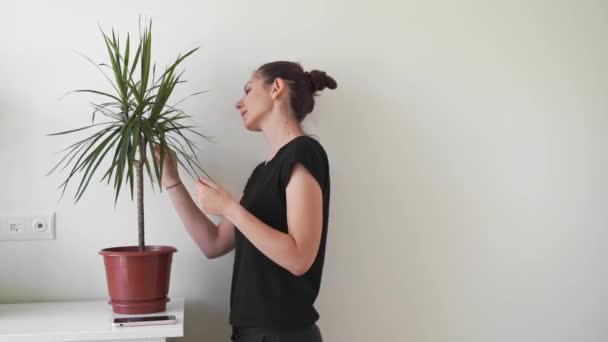 YOung mulher milenar cuidando de plantas em casa. Florista freelancer. Eco ocupação amigável — Vídeo de Stock