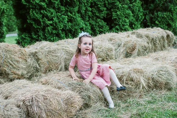 Pequeña niña se juega en el heno —  Fotos de Stock