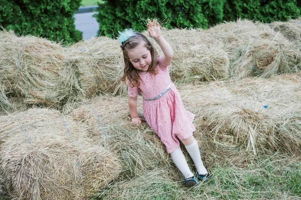 Pequeña niña se juega en el heno —  Fotos de Stock