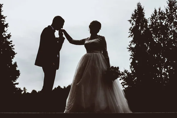 Silhouettes of the bride and groom, tenderness, romance, love.