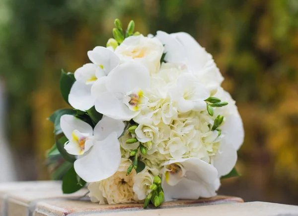 Beautiful elegant wedding bouquet — Stock Photo, Image