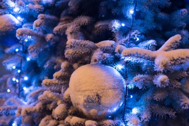 Güzel bir şekilde dekore edilmiş kar yağdı, Noel ağacı soğuk winterlandscape