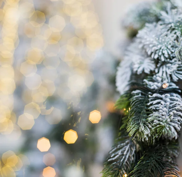 Träd och Jul dekorationer. Vacker dekorerad med nuvarande lådor i ett vinterlandskap med snö. — Stockfoto