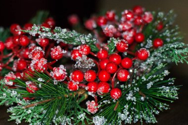 Bir köknar-ağaç veya çam suni yeşil dikenli dalları