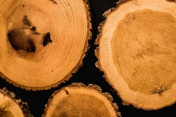 Bir yaşlı ahşap ağaç bölüm halkaları ve dokular ile kırık. Organik hissi ile yuvarlak arka plan.