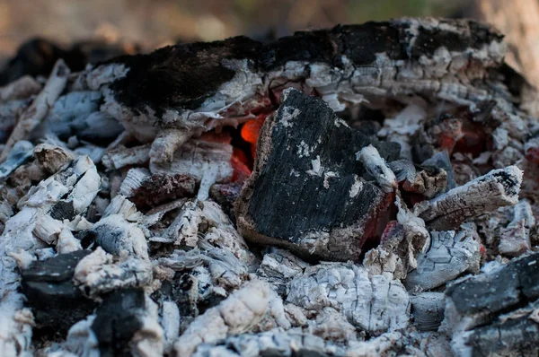 Coal from the fire — Stock Photo, Image