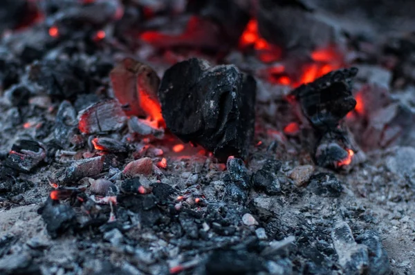 Carbón del fuego Fotos De Stock Sin Royalties Gratis