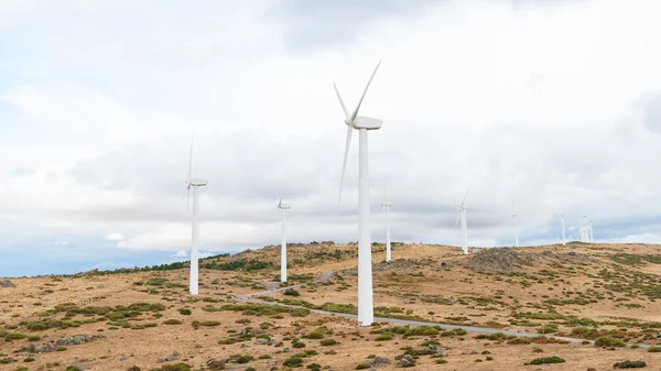 Електростанція з вітровими турбінами на фоні відкритого поля — стокове фото
