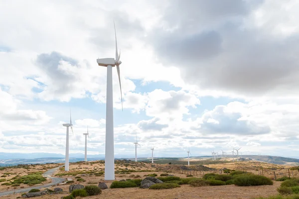 Електричні вітрові млини, переміщені вітром на фоні похмурого неба — стокове фото