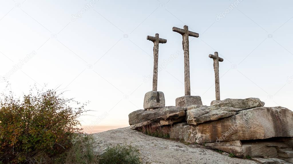 sanse293