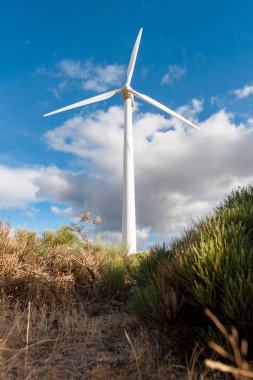 Açık alan arka planda Rüzgar türbinleri ile elektrik santrali