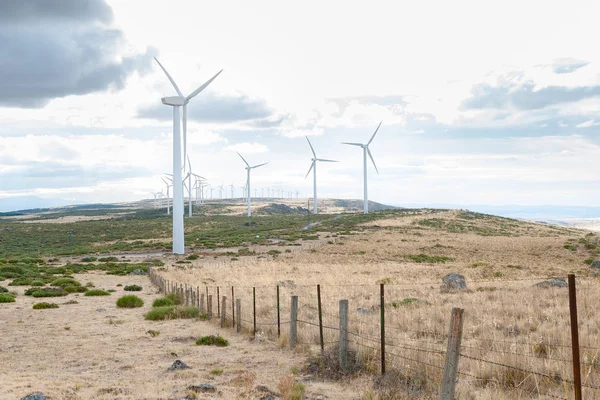 Açık alan arka planda Rüzgar türbinleri ile elektrik santrali