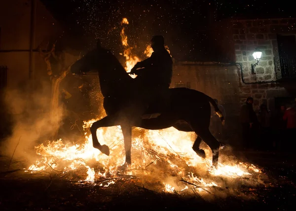 orse next to your rider crossing the fire