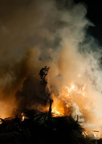 Лошади, прыгающие над огнем без страха — стоковое фото