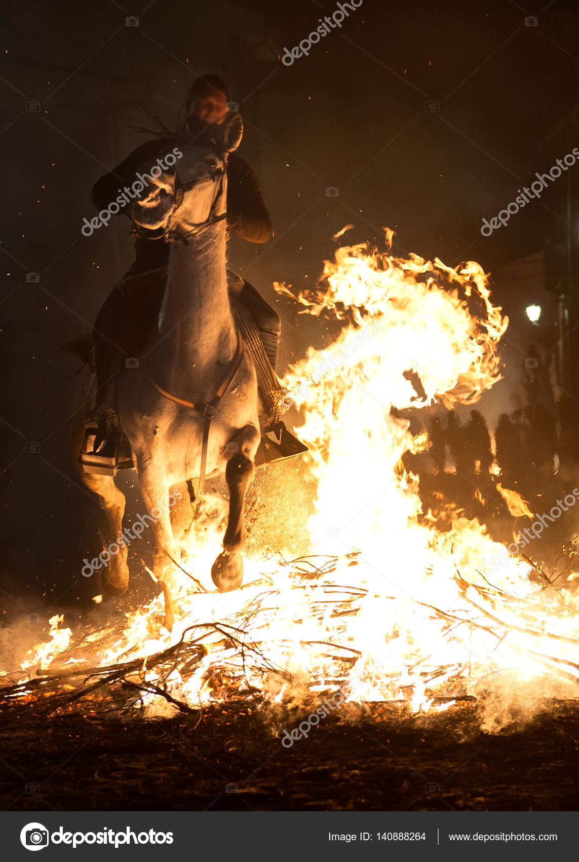 Cavalo pulando Fotos de Stock, Cavalo pulando Imagens sem royalties