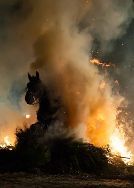 Лошади, прыгающие над огнем без страха — стоковое фото