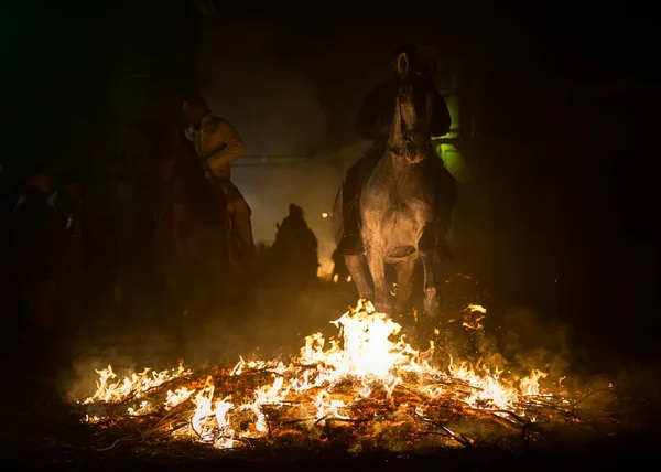Paard met zijn ruiter snel breken door het vuur — Stockfoto