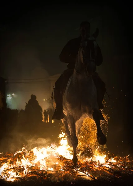 Caballo con su jinete rompiendo rápidamente el fuego — Foto de Stock