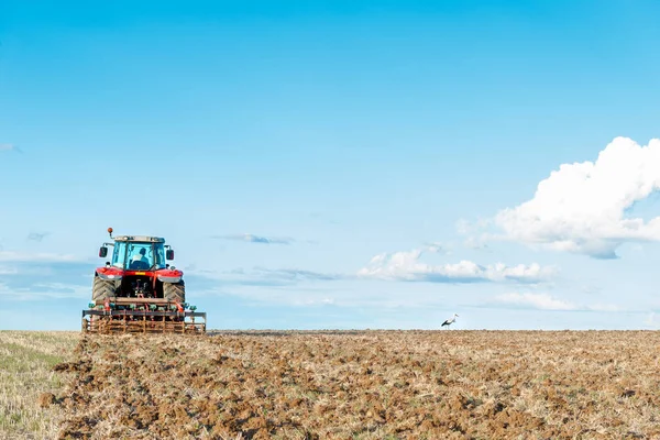 Traktor di tanah bersama dengan gigi untuk bekerja — Stok Foto