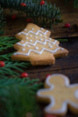 Onların env sembollerde Christmas olan çocuklar için çeşitli tanımlama bilgileri