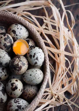 Kuş yumurtaları bir tanesi ile kırık ve yol göster