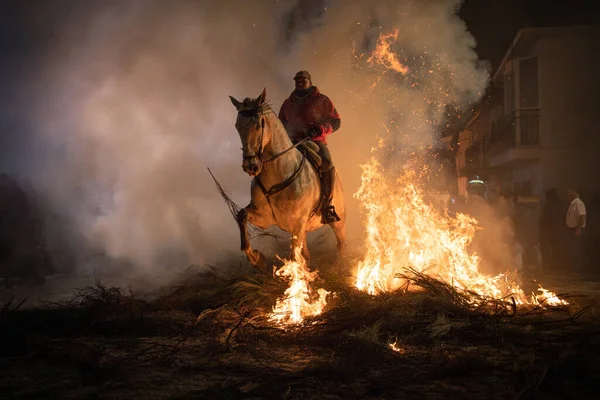 Hästar hoppa över elden utan rädsla — Stockfoto